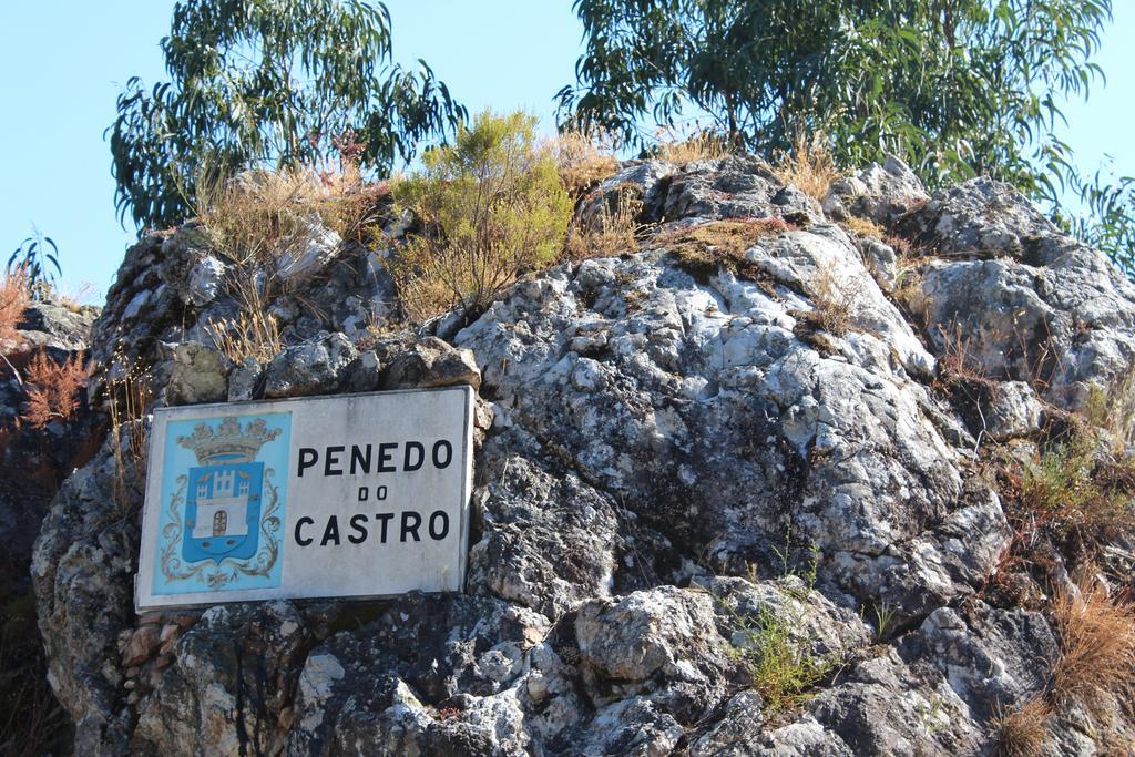הוילה Raiva Casa Do Rio - Penacova מראה חיצוני תמונה